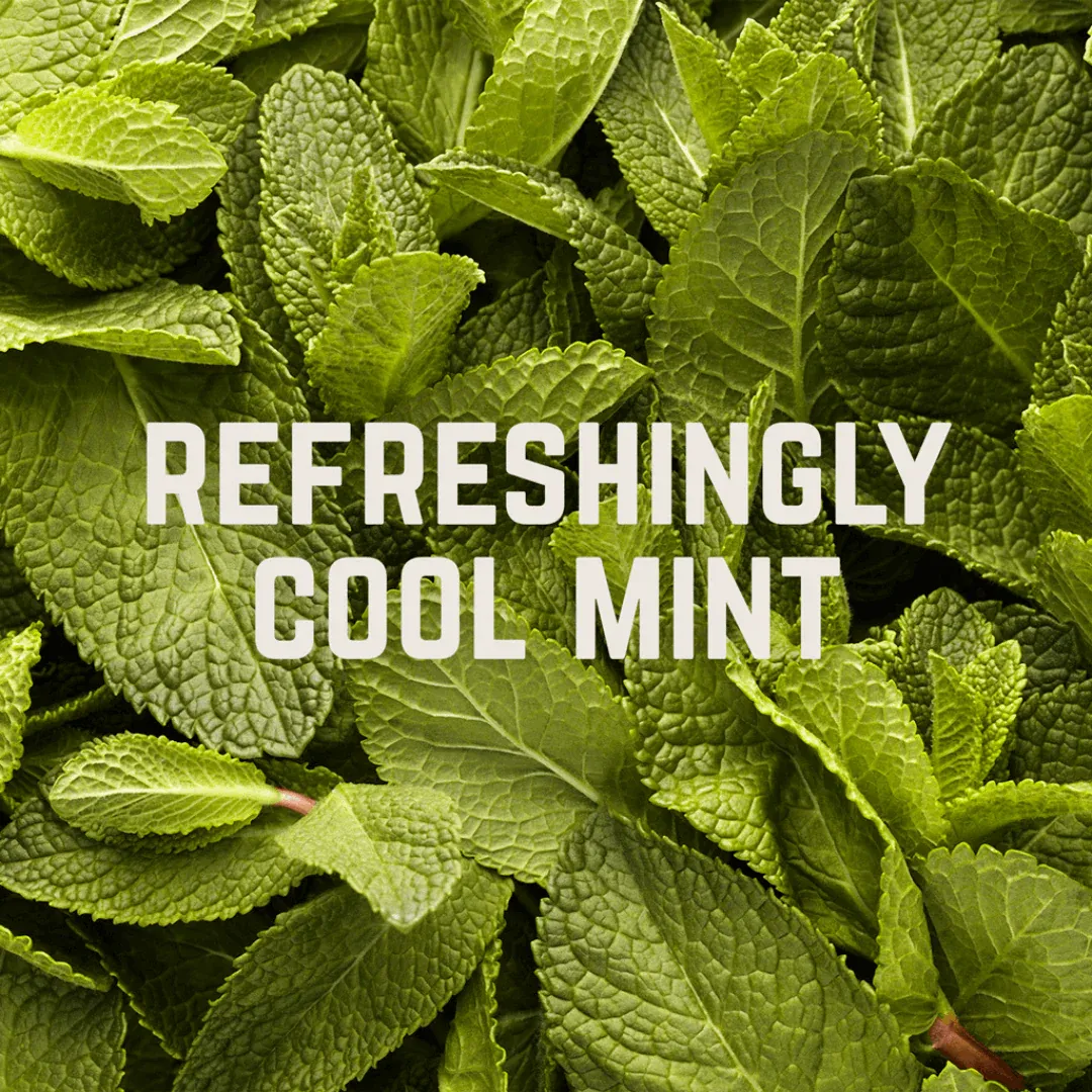 Veloforte Lemon and Mint Fresco Chews (1 sachet) - Afbeelding 6