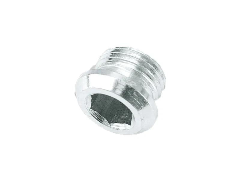 Timing hole plug